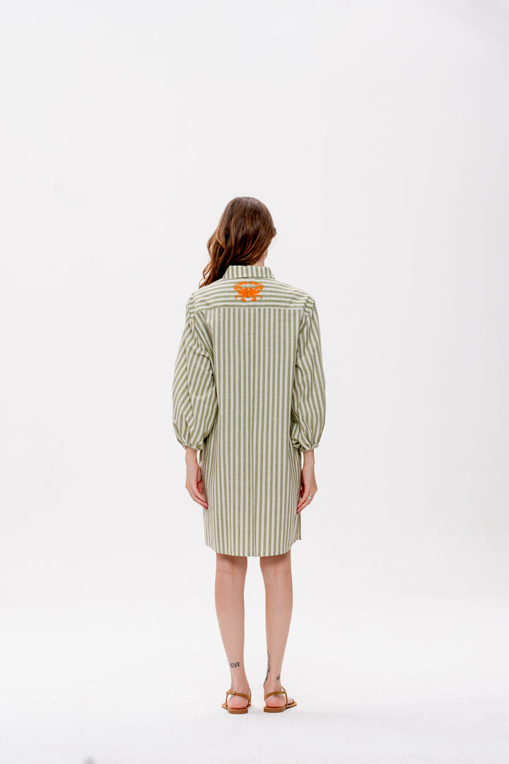 Chemise Curta Maré Alta Listrado Verde Caranguejo Laranja