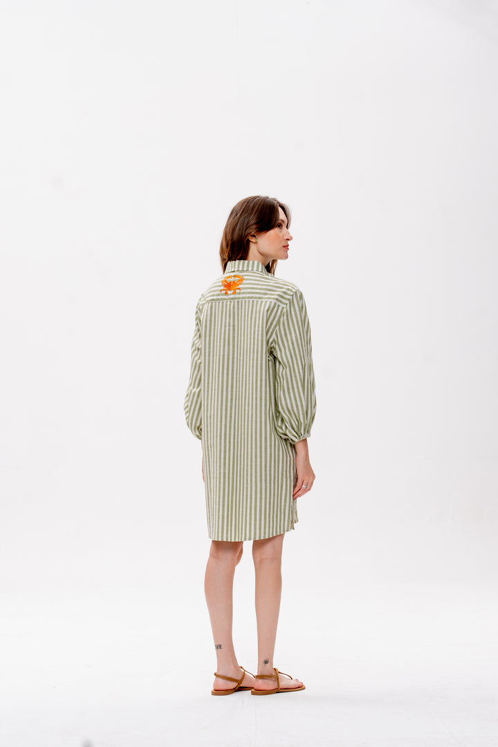 Chemise Curta Maré Alta Listrado Verde Caranguejo Laranja
