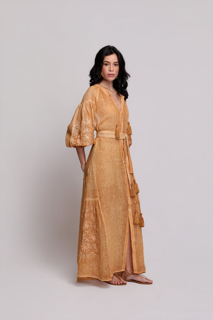 Valentina Beige and Beige Dress