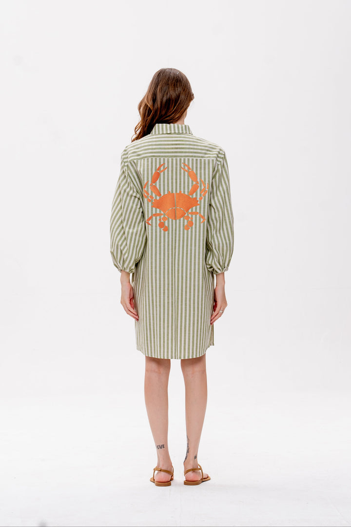 Chemise Curta Maré Alta Verde Listrada King Crab Laranja